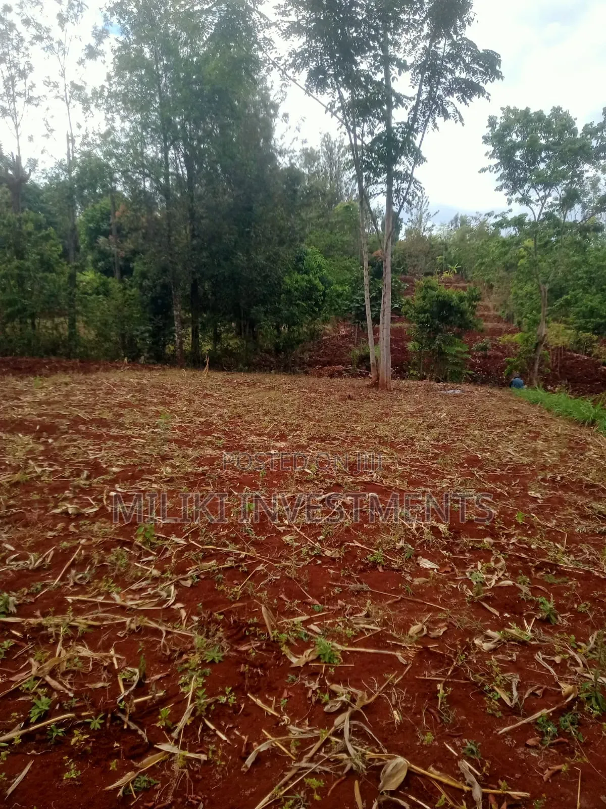 1 Acre of Land on Sale at Murang,a -Kigumo