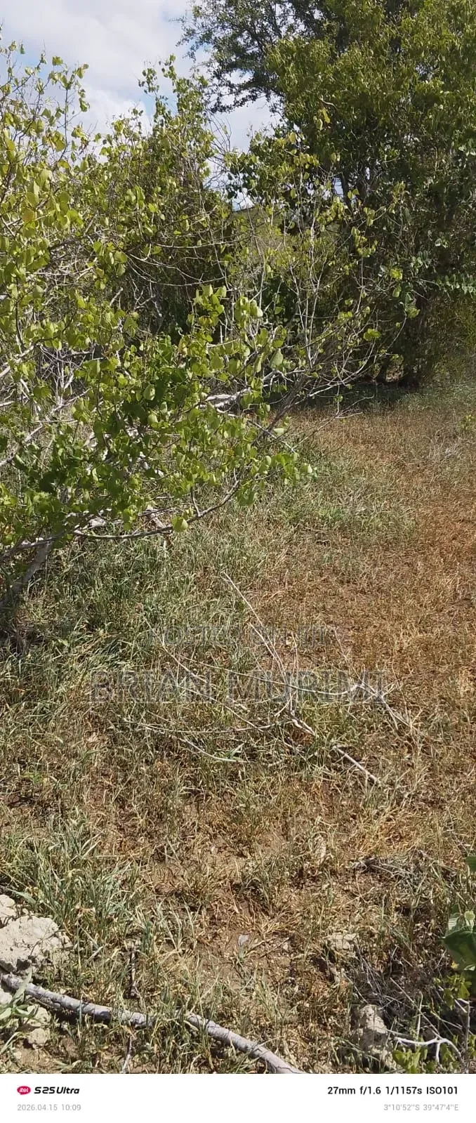 Baricho Dakacha Malindi 344 Acres