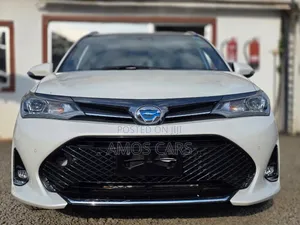 Toyota Corolla Fielder 2019 White