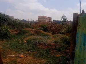 40/100 Plot on Sale