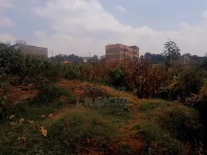40/100 Plot on Sale