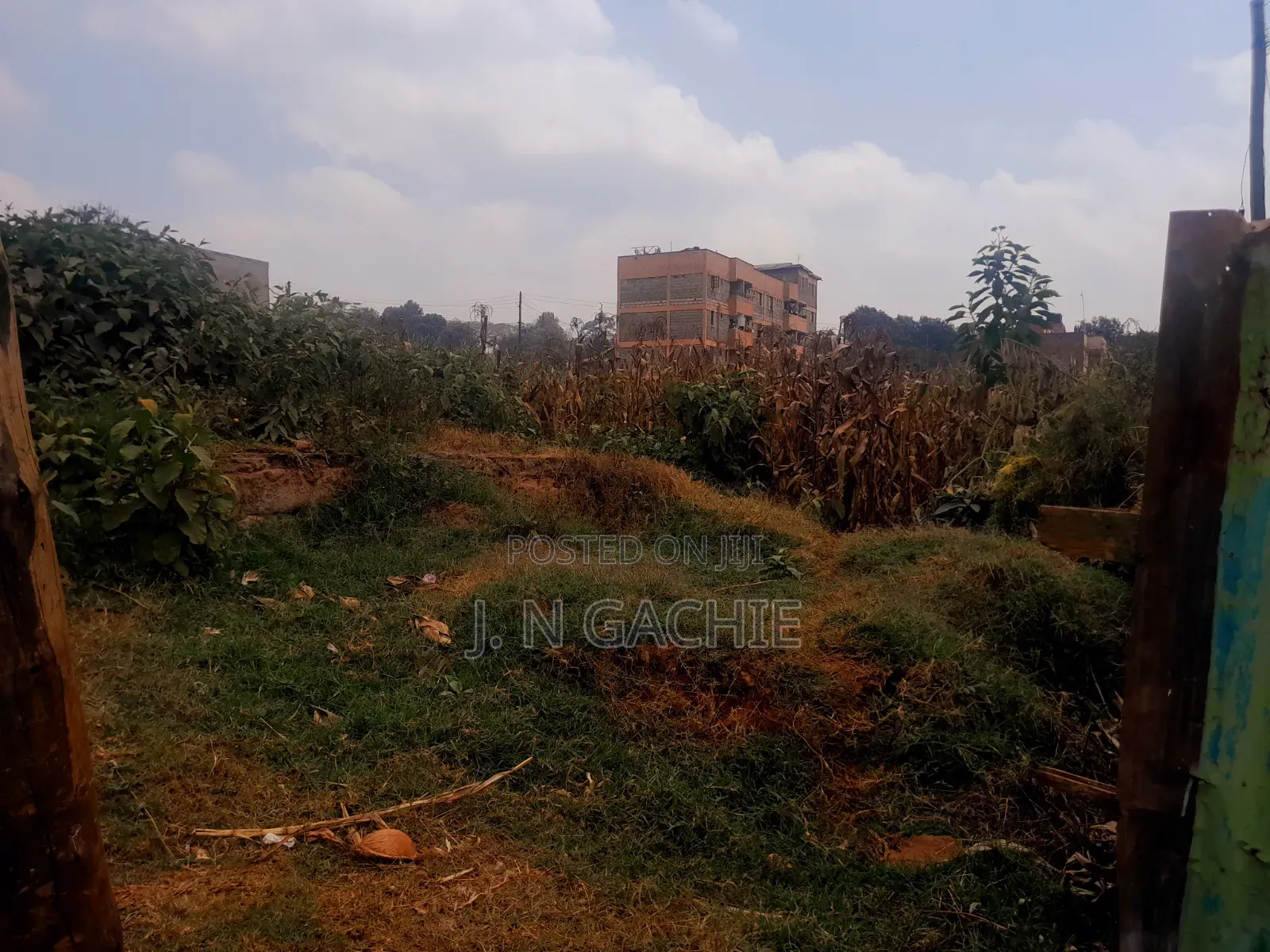 40/100 Plot on Sale