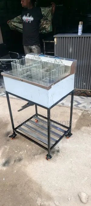 Modern Double Deep Fryer