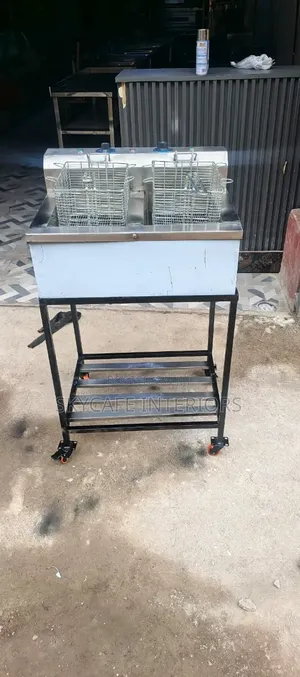 Modern Double Deep Fryer