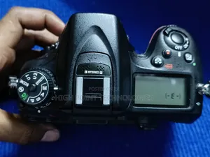 Nikon D7100