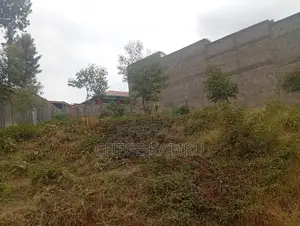 Kawangware Riruta Behind Precious Gardens