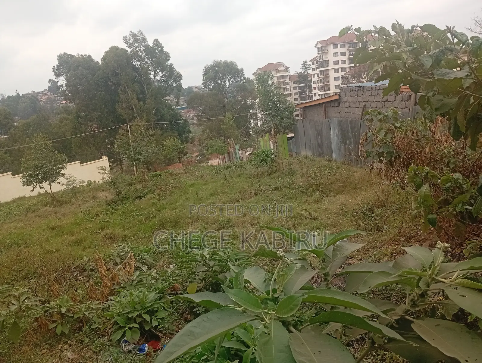 Kawangware Riruta Behind Precious Gardens