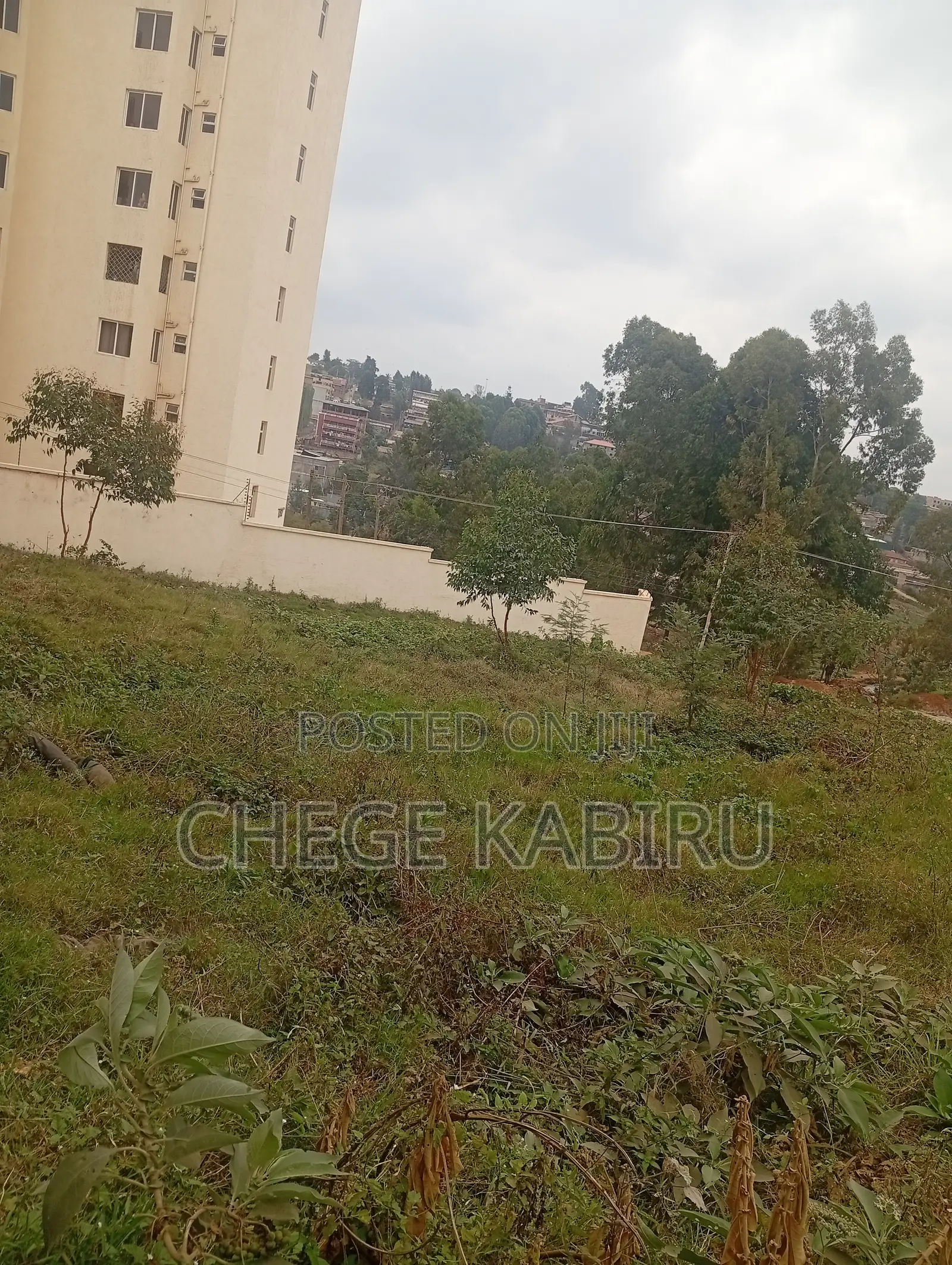 Kawangware Riruta Behind Precious Gardens