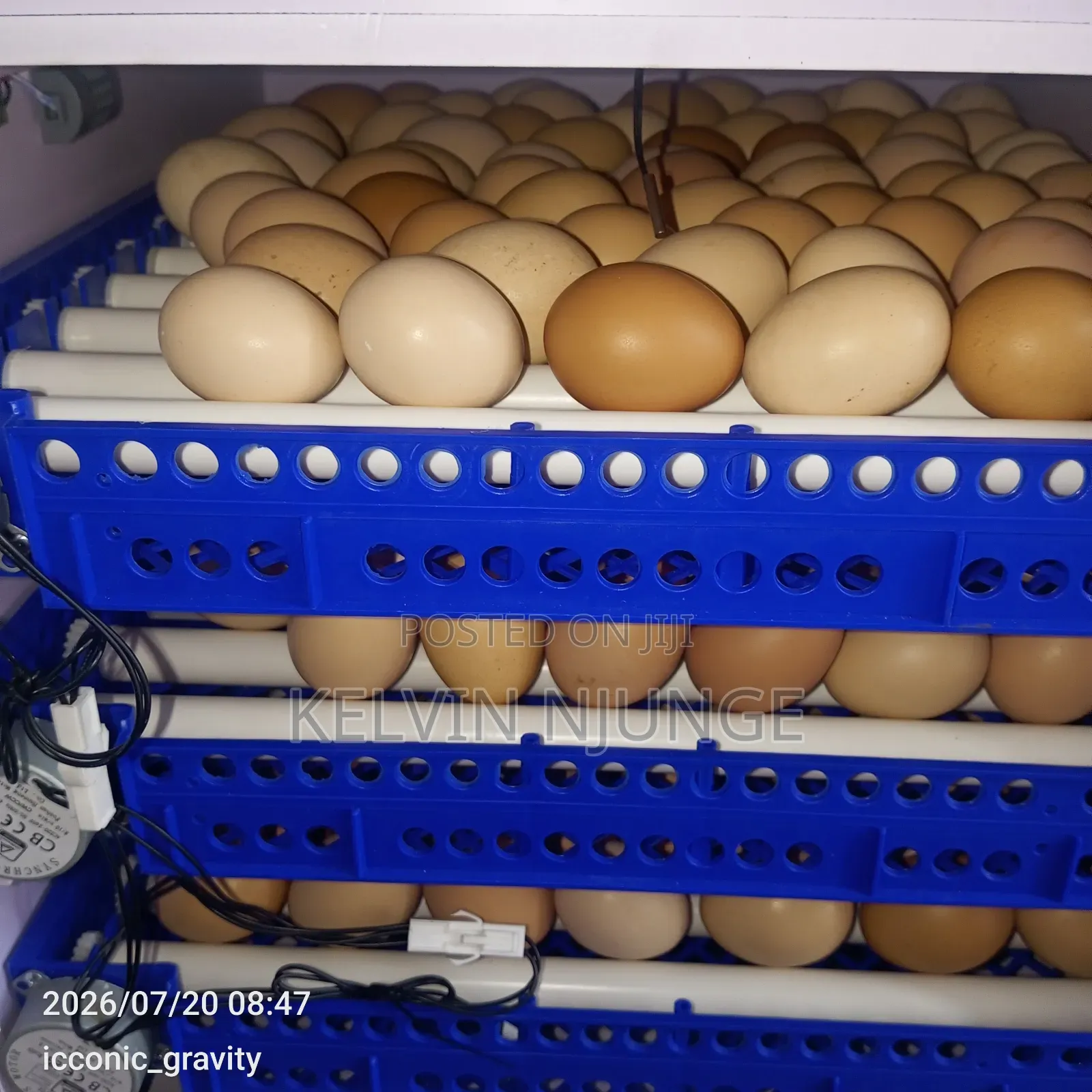 Incubator Machine