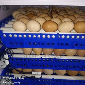 Incubator Machine