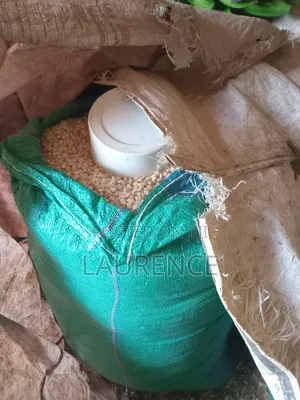 Dry Maize /Corn in 90kg Bags
