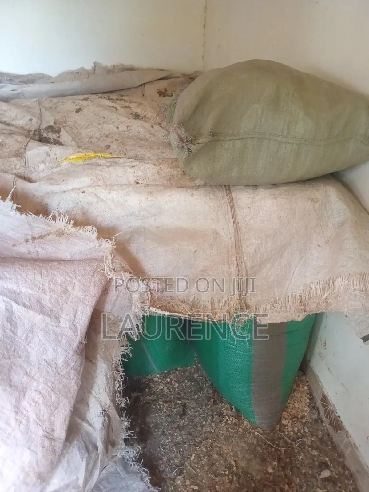 Dry Maize /Corn in 90kg Bags