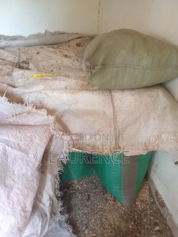 Dry Maize /Corn in 90kg Bags - thumbnail 2