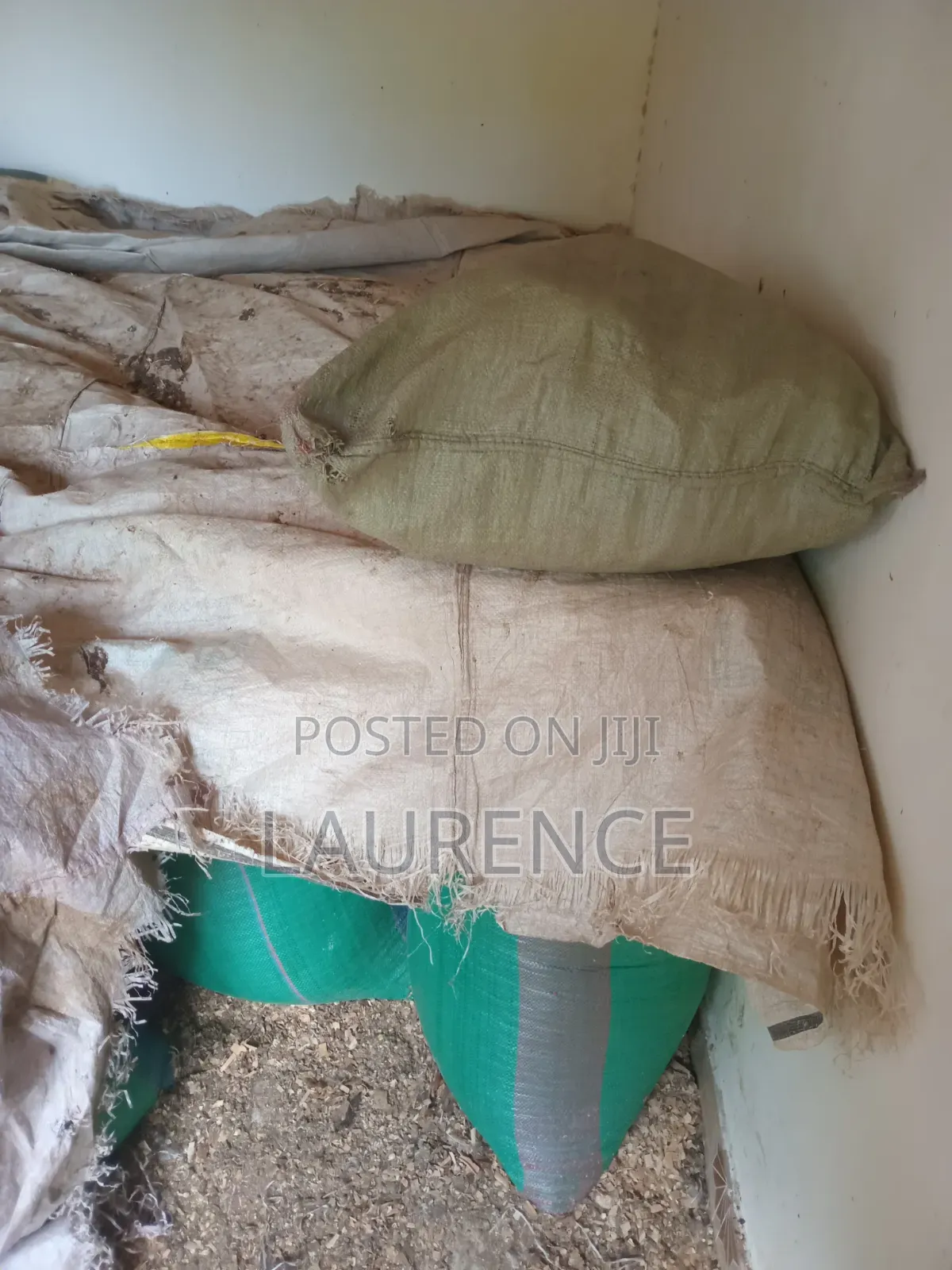Dry Maize /Corn in 90kg Bags
