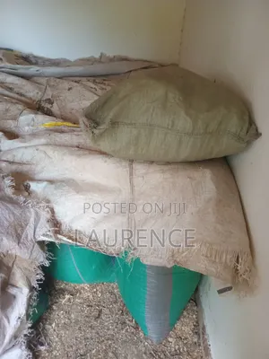 Dry Maize /Corn in 90kg Bags