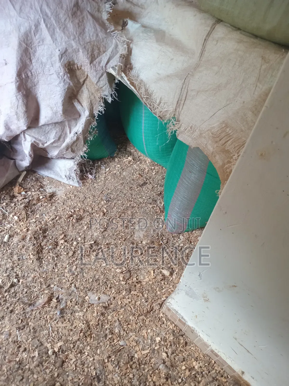 Dry Maize /Corn in 90kg Bags