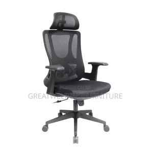 Unique Design Mesh Ergonomic Office Chair Fr9