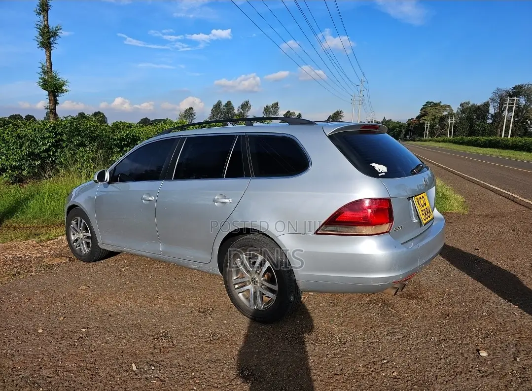 Volkswagen Golf Variant 2011 Silver