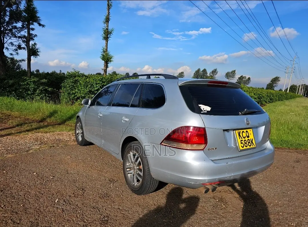 Volkswagen Golf Variant 2011 Silver