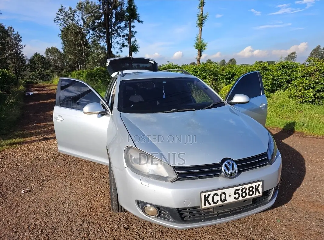Volkswagen Golf Variant 2011 Silver