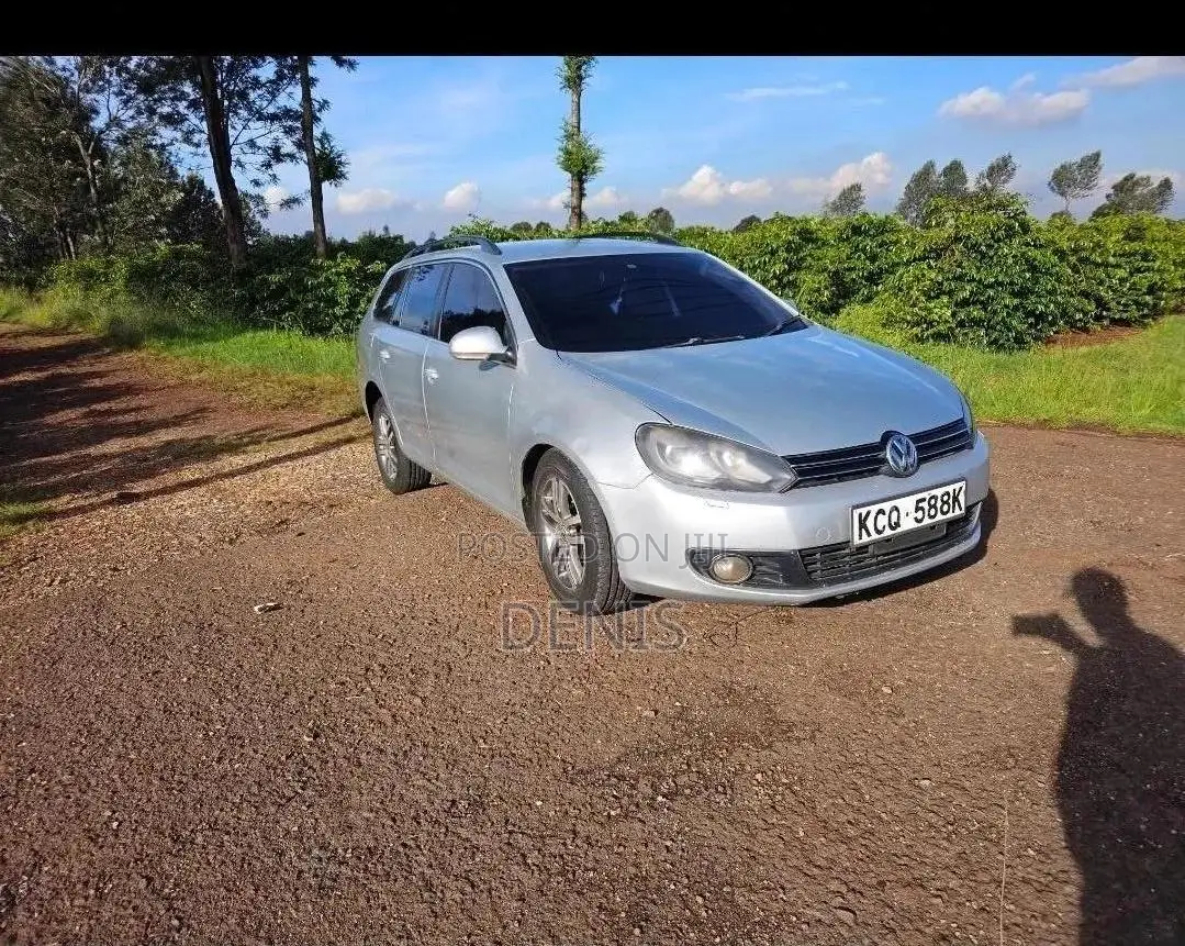 Volkswagen Golf Variant 2011 Silver