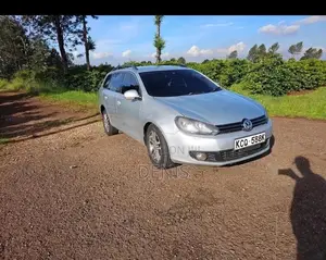 Volkswagen Golf Variant 2011 Silver