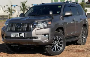 Toyota Land Cruiser Prado 2017 Gray
