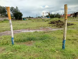 Prime 50x100 Plots for Sale in Barnabas, Nakuru