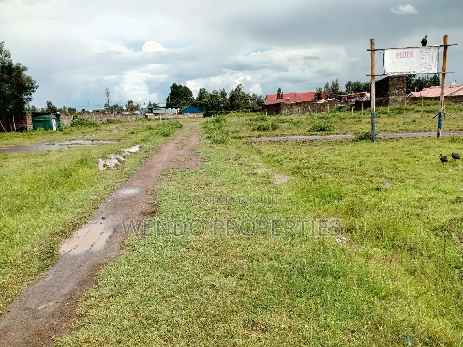 Prime 50x100 Plots for Sale in Barnabas, Nakuru