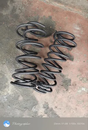Toyota Primio Nyoka Coil Spring