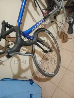 Giant SCR2