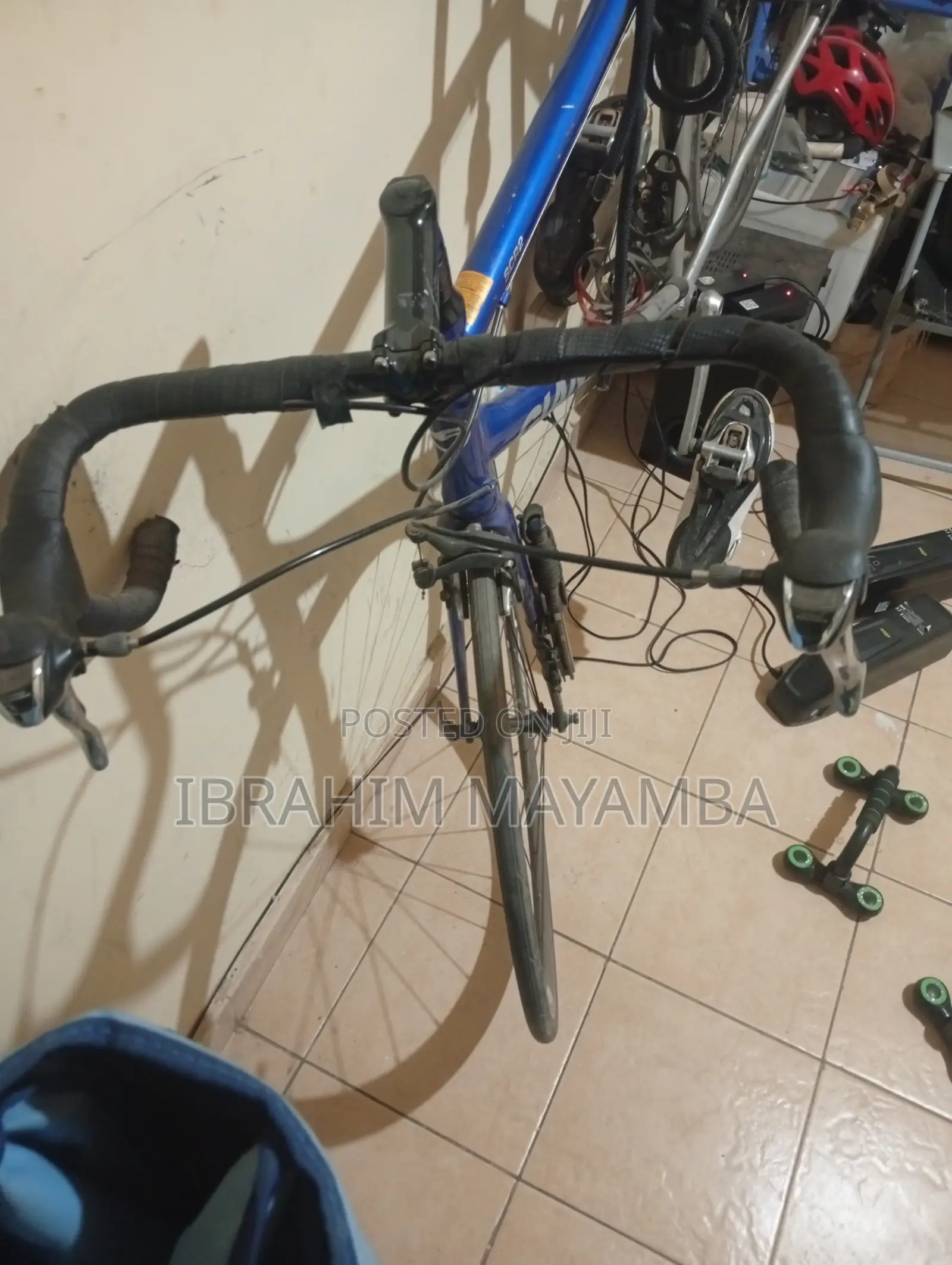 Giant SCR2