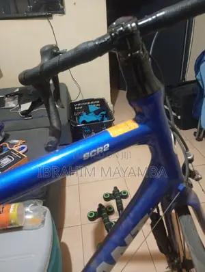 Giant SCR2