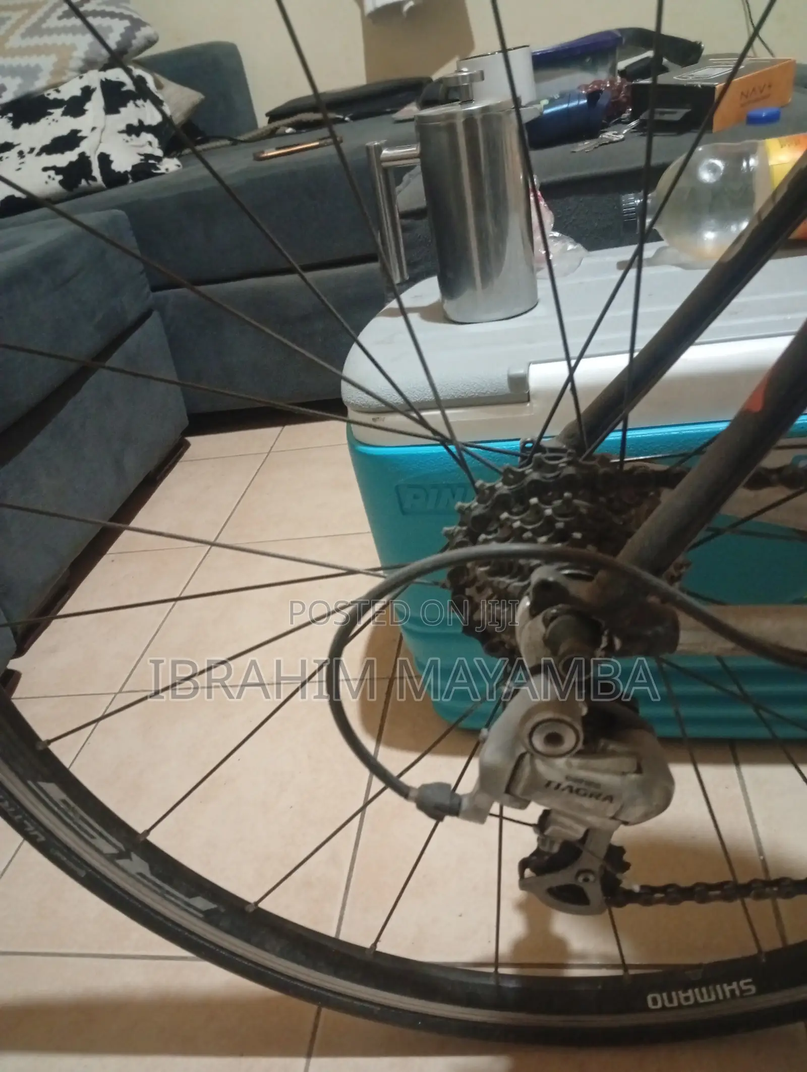 Giant SCR2