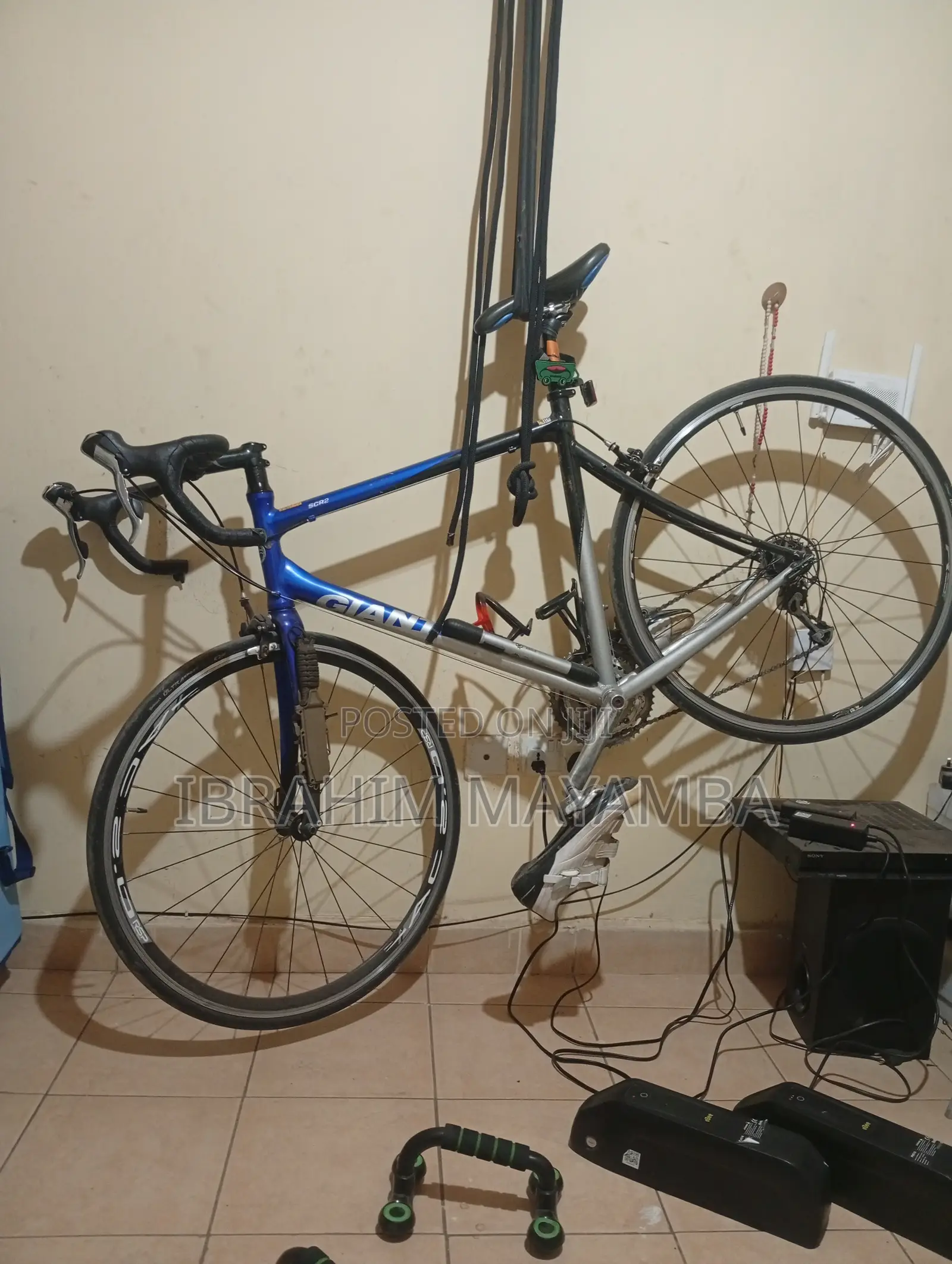 Giant SCR2