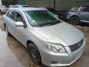 Toyota Axio 2008 Silver