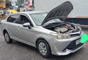 Toyota Axio 2008 Silver