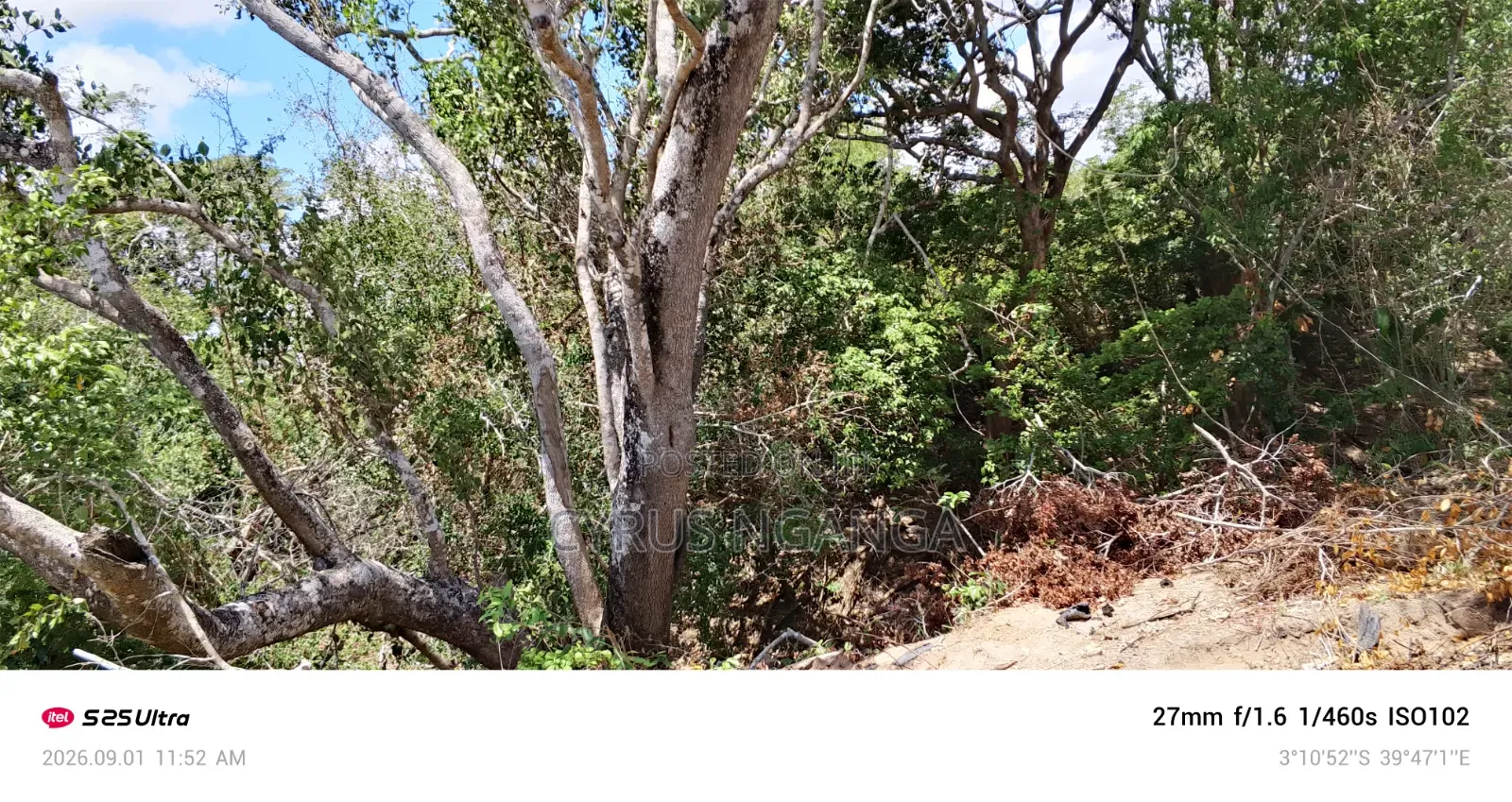 Land for Sale