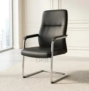 Office Chair : Ergonomic Sled Base Reception Leather Chair