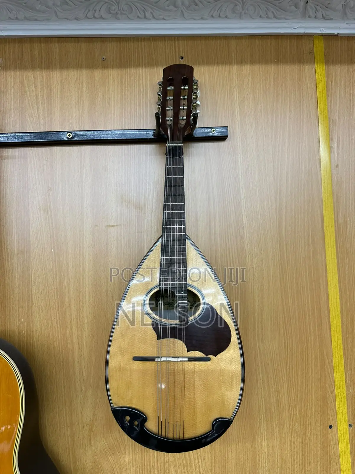 Suzuki Mandolin