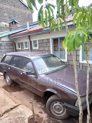 Peugeot 505 1986 Maroon