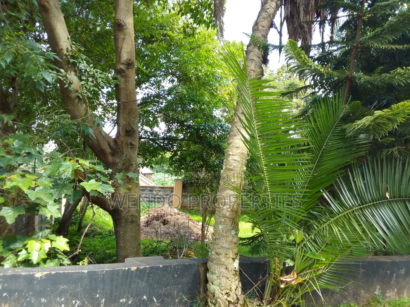 5bdrm House in Milimani for sale