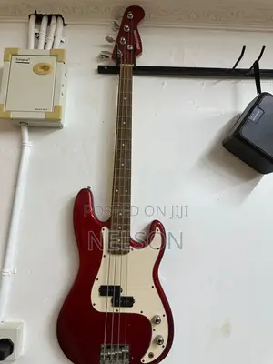 Selder Bass Guitar
