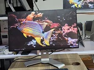 Dell U2421HE 24 Inch Frameless Full Hd 1920×1080
75hz
