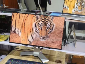 Dell U2421HE 24 Inch Frameless Full Hd 1920×1080
75hz