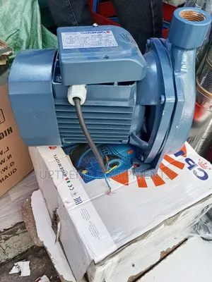 Pedrollo Centrifugal Heavy Duty Water Pump