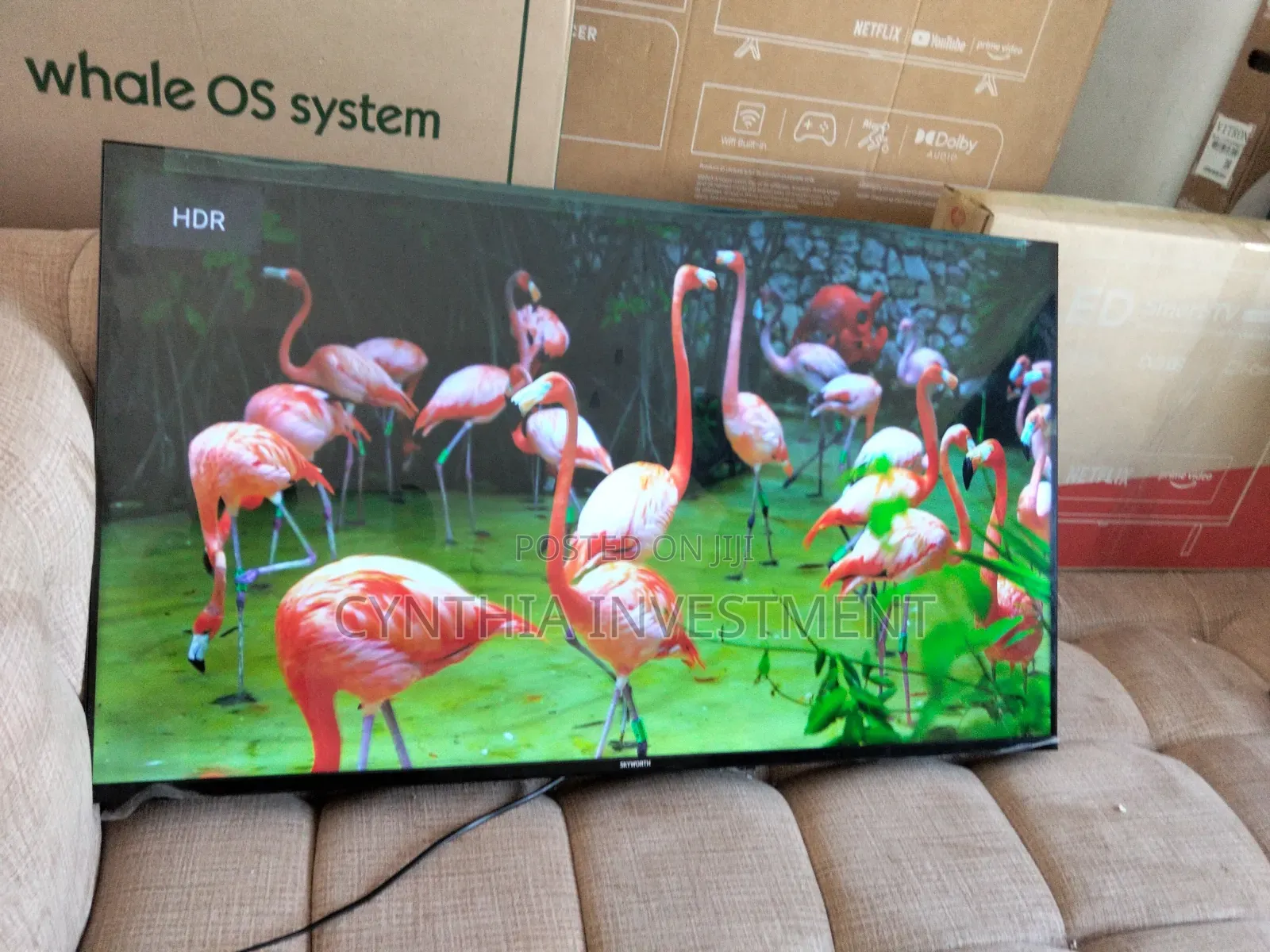 Skyworth 43 Inch Google TV