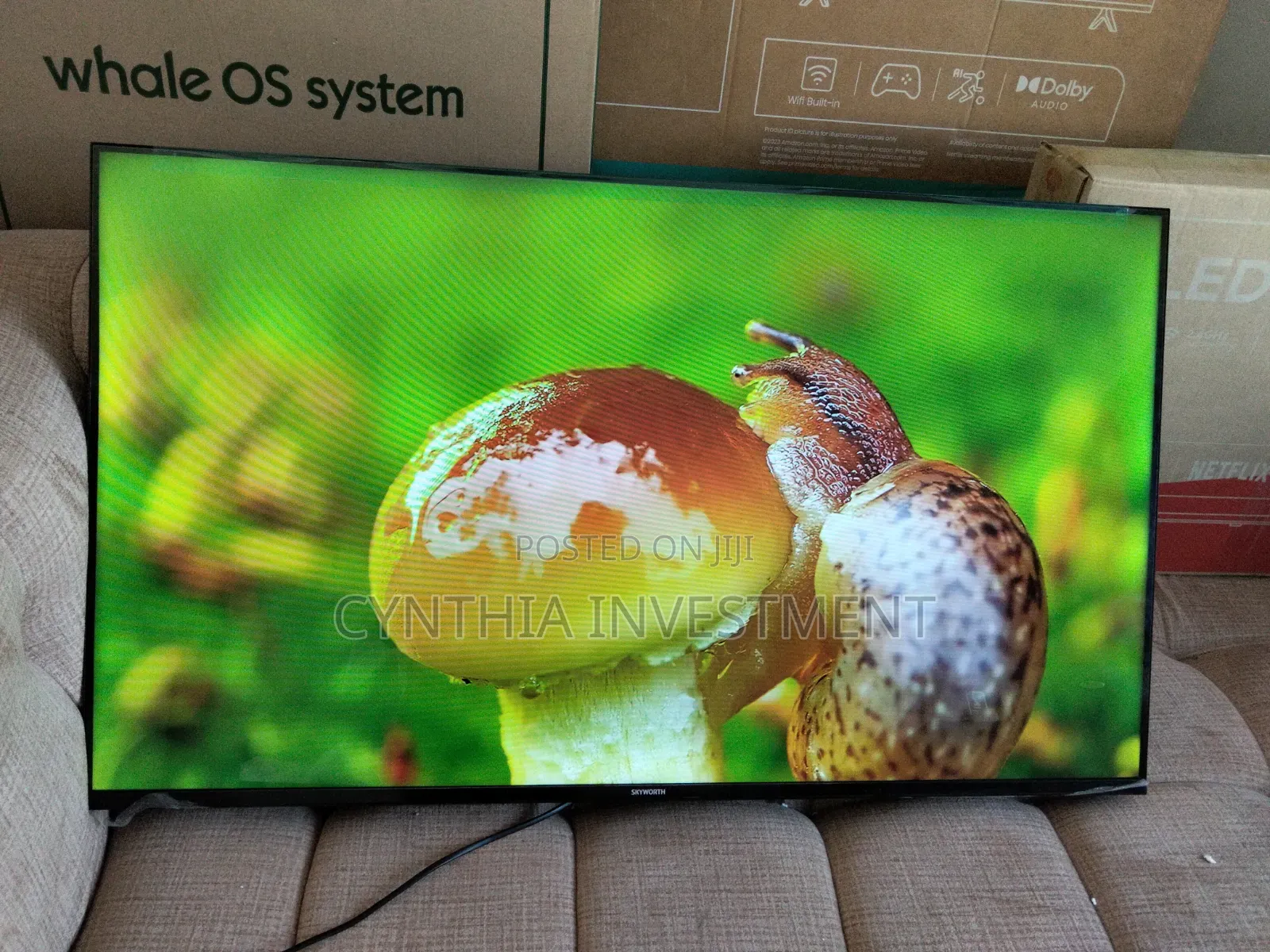 Skyworth 43 Inch Google TV