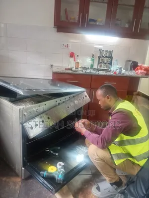 Cooker and Oven Repairs