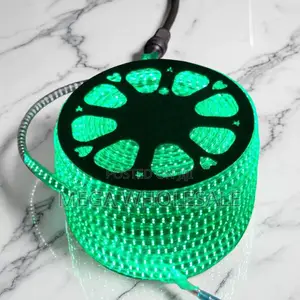 Long-Lasting 50M Metres SMD Color Green Led Strip Light Snake Light